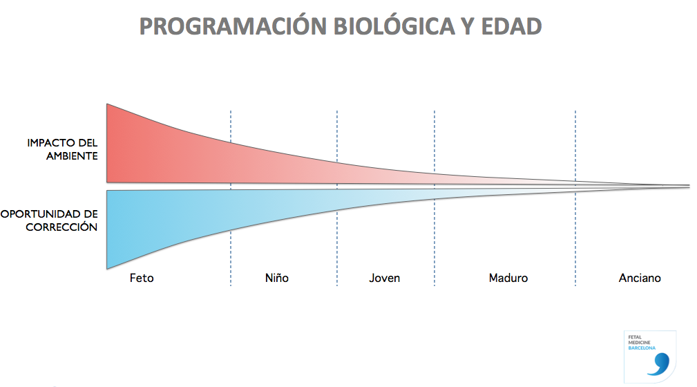 Epigenetica-grafico