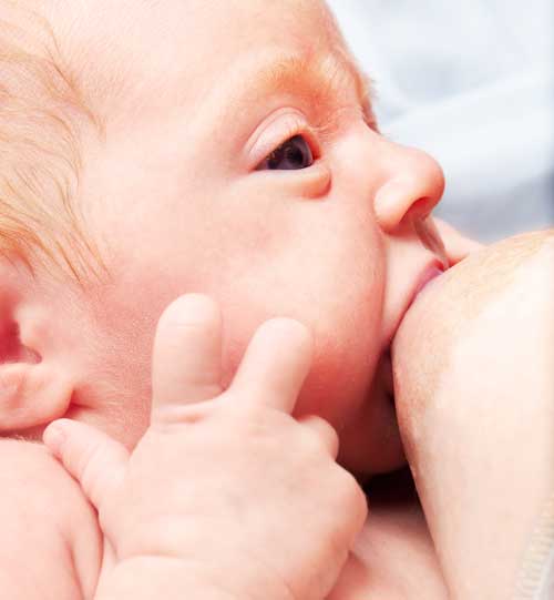 Cuál es el proceso de la lactancia materna? - inatal - El embarazo semana a  semana