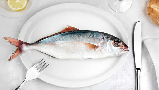 pescado-mercurio-omega3